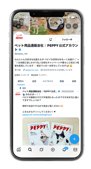 公式SNSアカウント