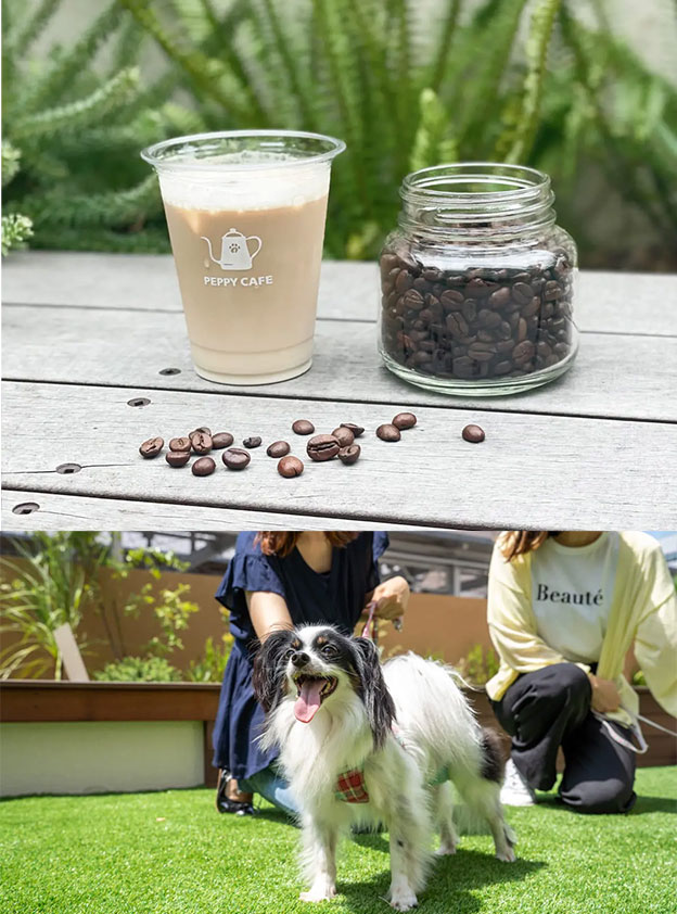 PEPPY CAFE