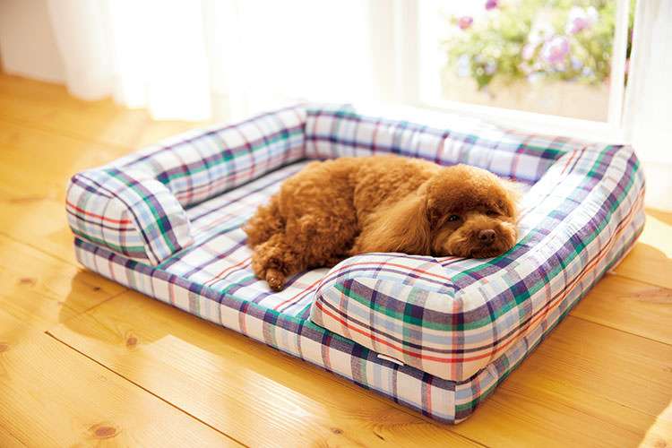 厳選された商品ラインナップの参考画像