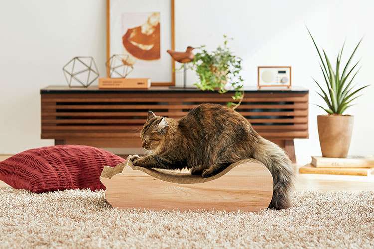 厳選された商品ラインナップの参考画像